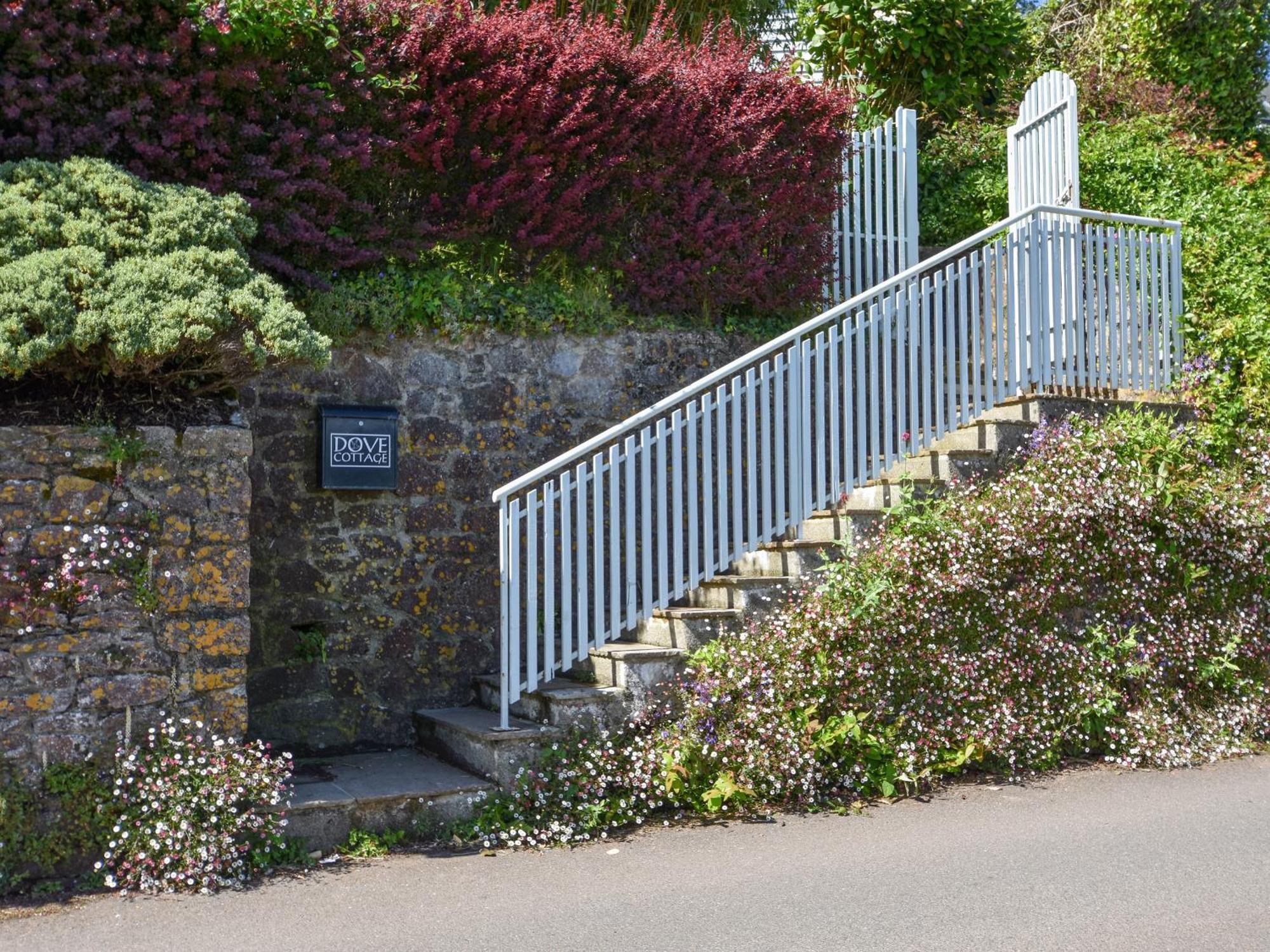 Dittisham Dove Cottage מראה חיצוני תמונה